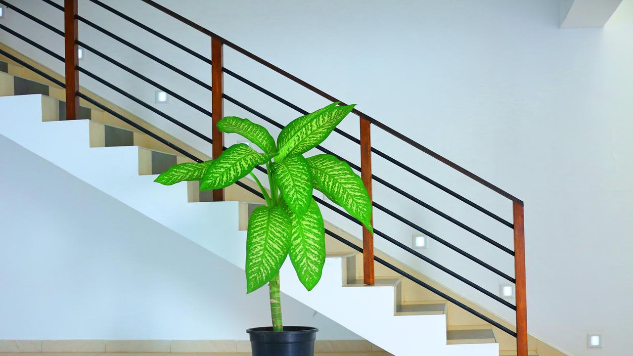 Twenty Two Binaweli Hotel Weligama Kültér fotó